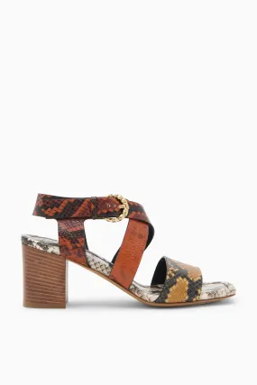 Ameline Mid Heel - Python Colorblock