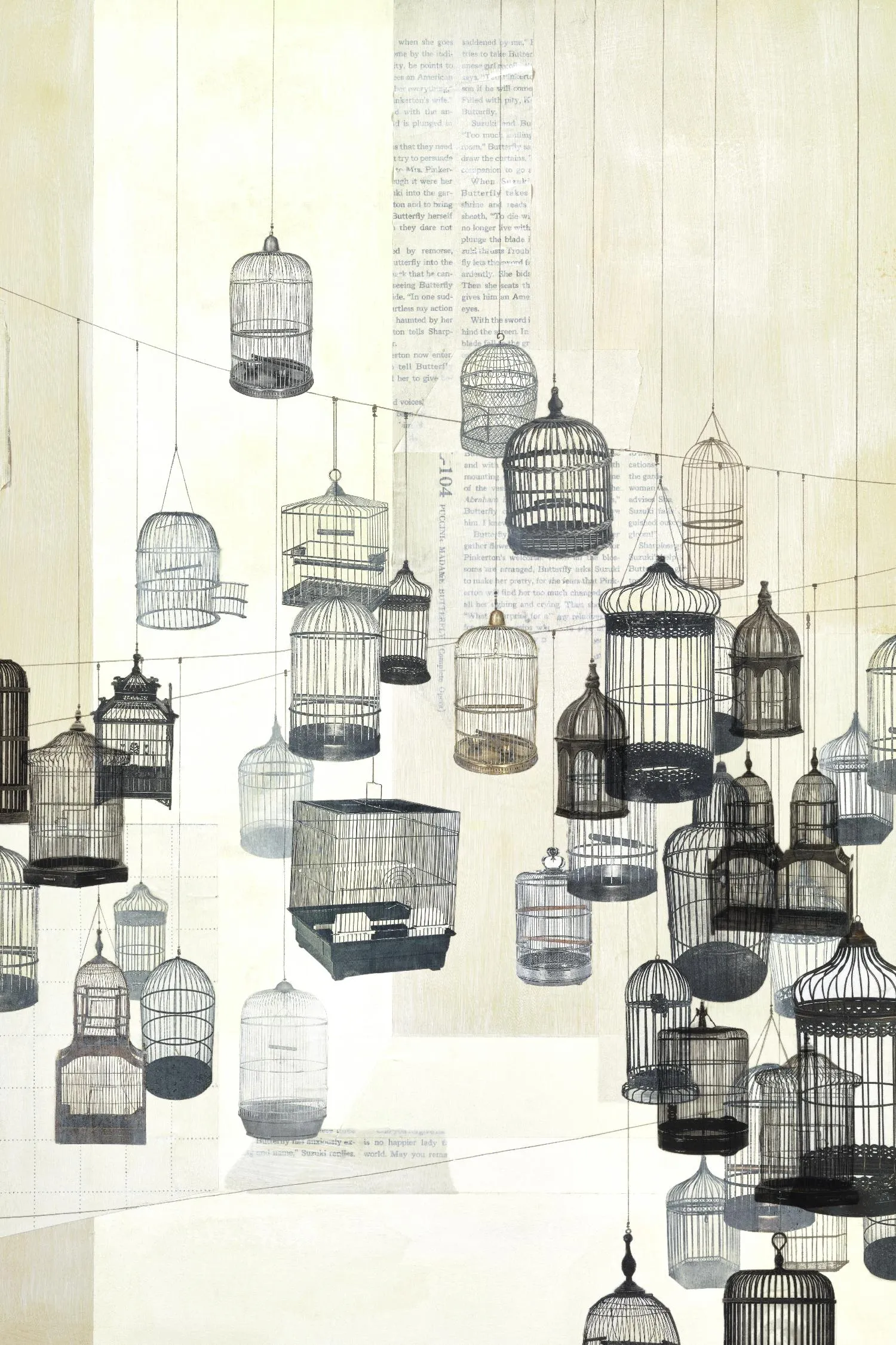 Birdcages 1