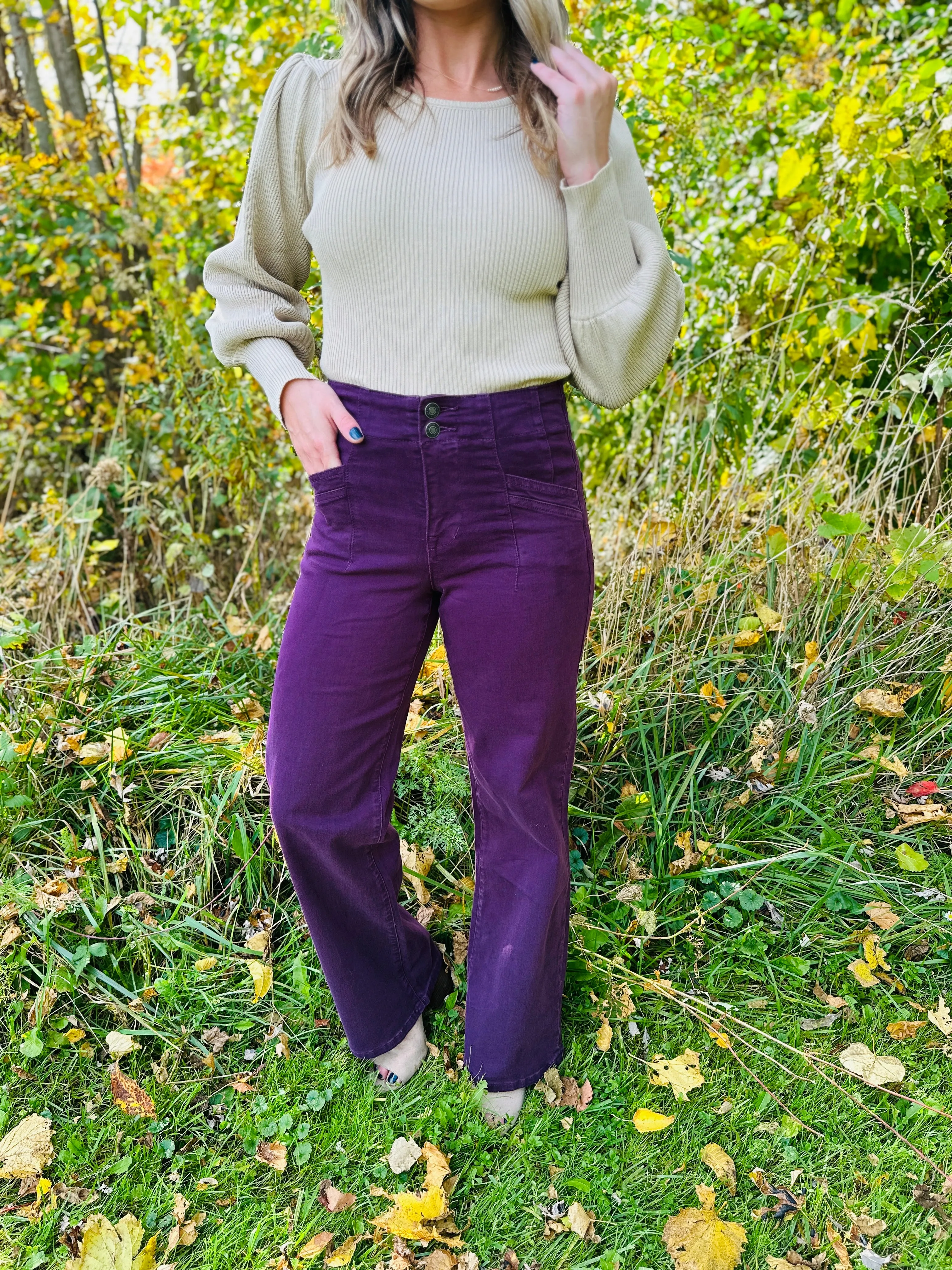 Mica REG/CURVY Perfectly Plum Wide Leg Jeans