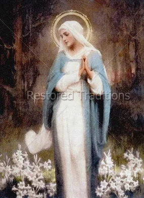 Our Lady Among the Flowers – Chambers