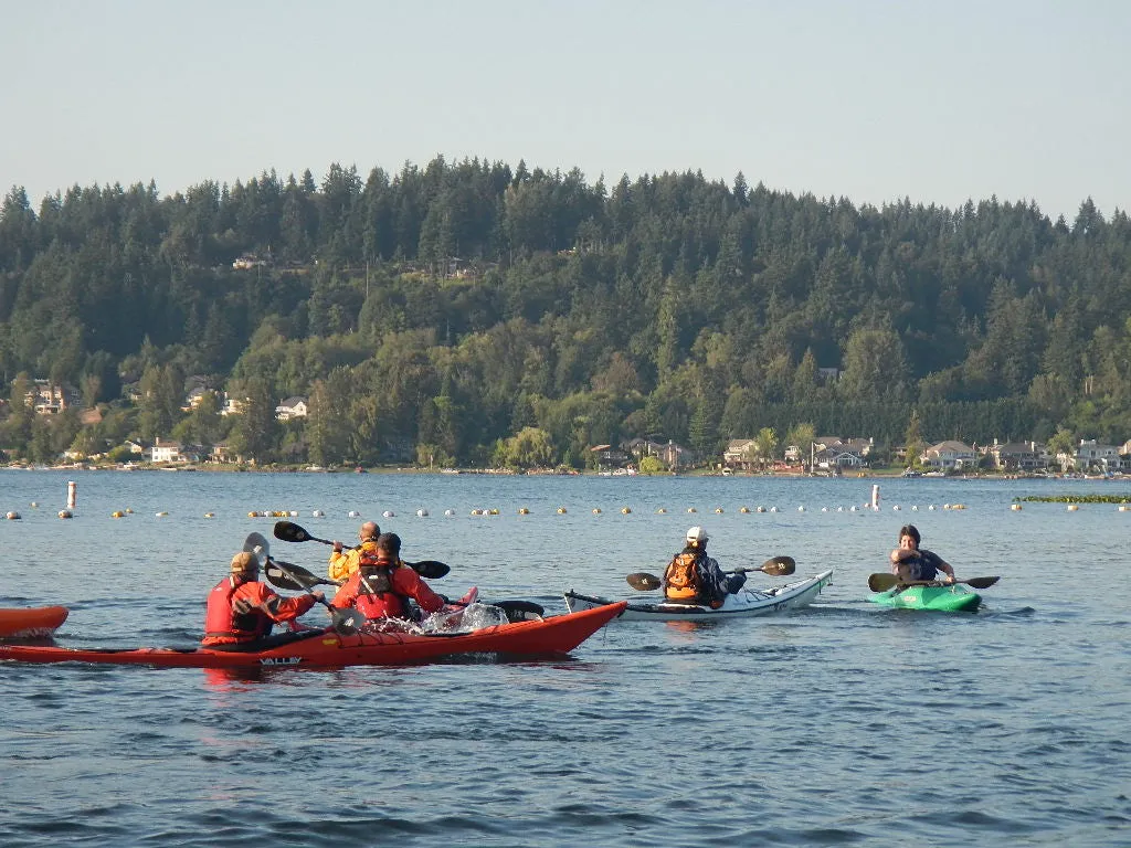 Wednesday Evening Flat Water Kayak Coaching